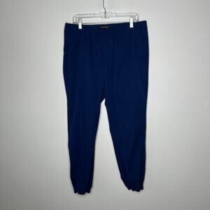 Banana Republic Pants Mens Large Blue Joggers Elastic Waist Nylon